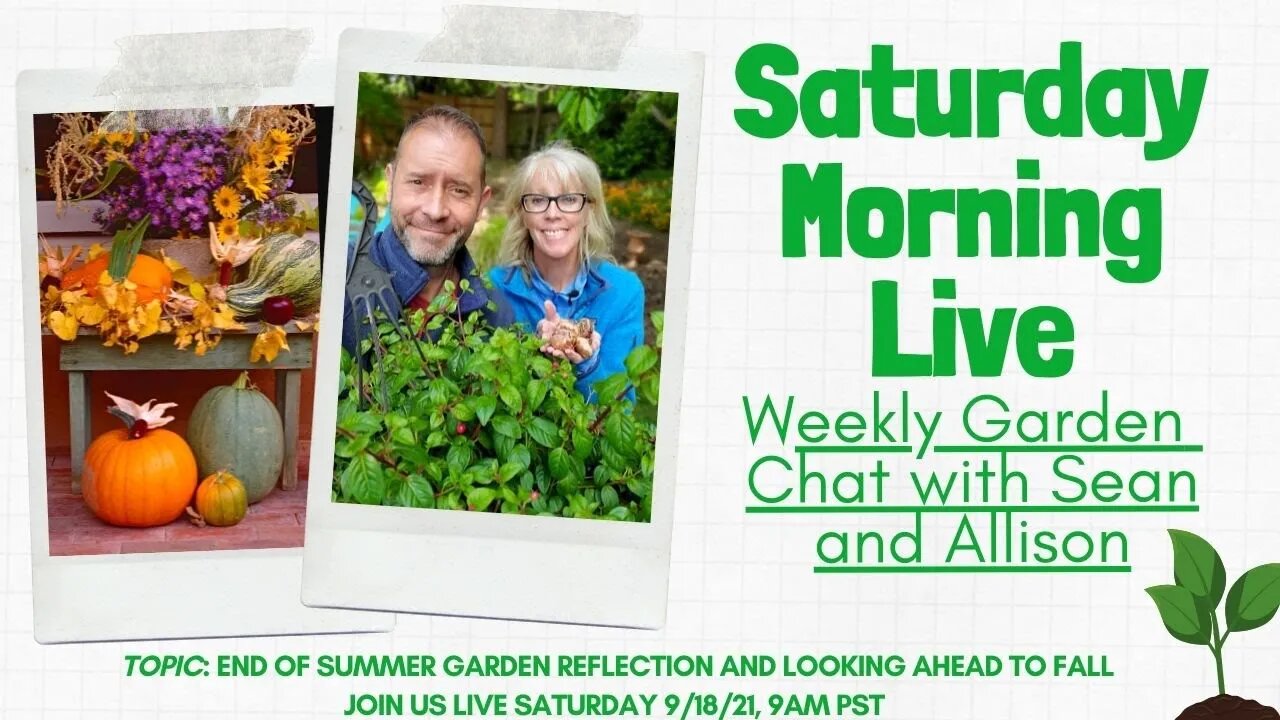 ☕ End of Summer Garden Reflections | Saturday Morning LIVE Garden Chat ☕