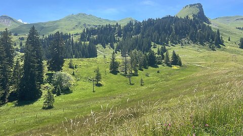 Dies und Das auf 2000 m - 14.07.2024