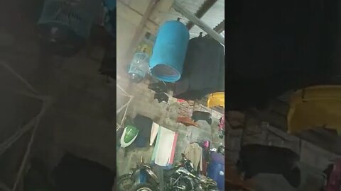 suasana menjelang malam minggu|| burung nya di krodong aja lah..