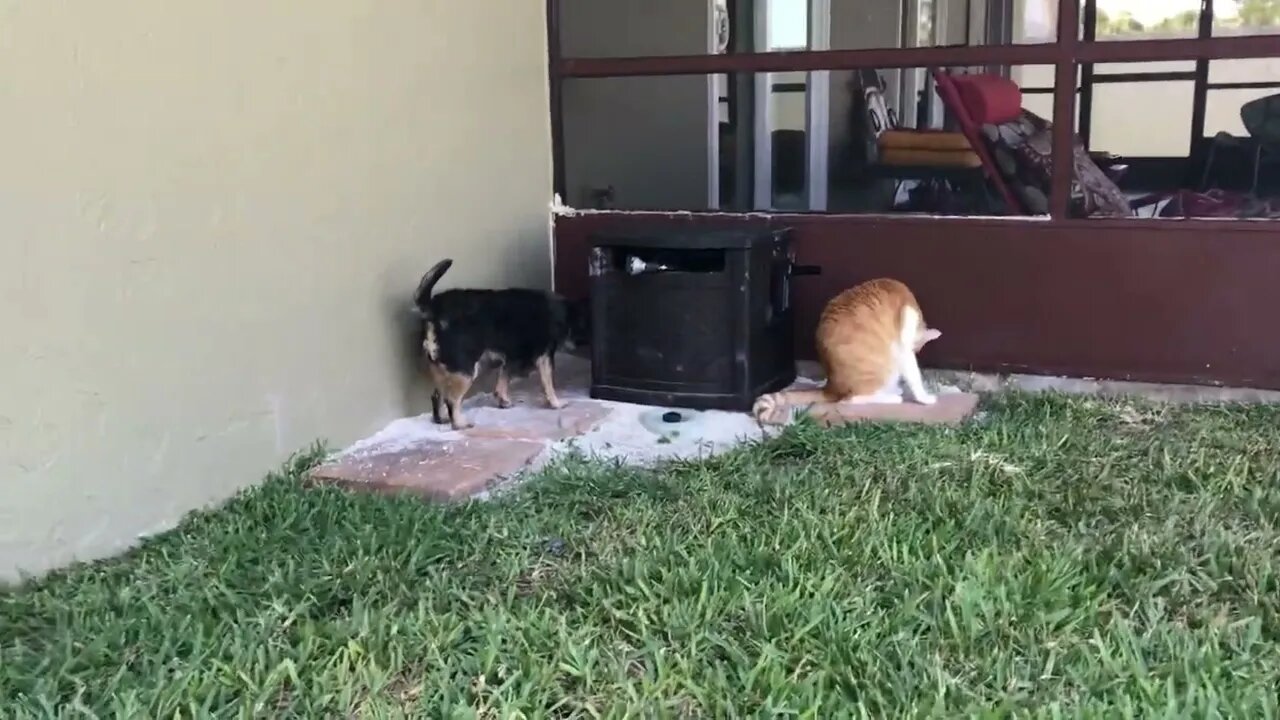Smithers and Stevie Hunting