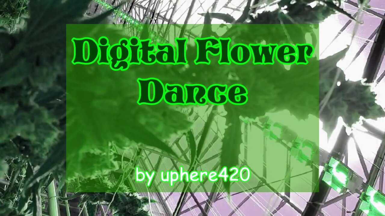 Digital Flower Dance by uphere420