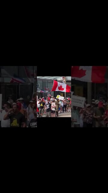 Netherlands Consulate In Solidarity With Dutch Farmers, Torontonians. Canada