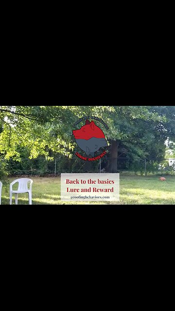 Back to the basics Lure and Reward part 4