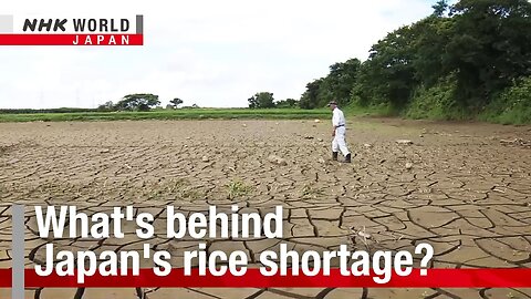 What's behind Japan's rice shortage?ーNHK WORLD-JAPAN NEWS