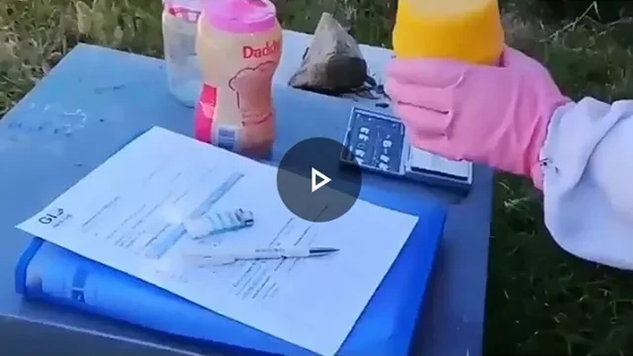 Outil de varroa check pour tester la présence de varroa