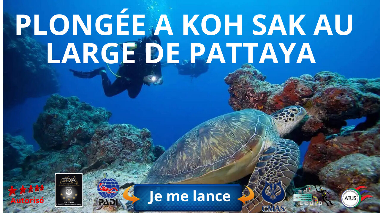 Plongée a koh sak au large de Pattaya avec le centre Plongée Asie