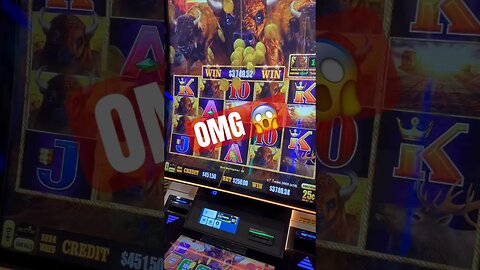 OMG: Unreal Buffalo Jackpot #casino #slots #gambling