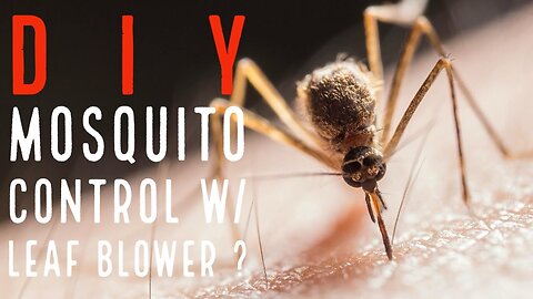 DIY Mosquito Control w/Leaf Blower