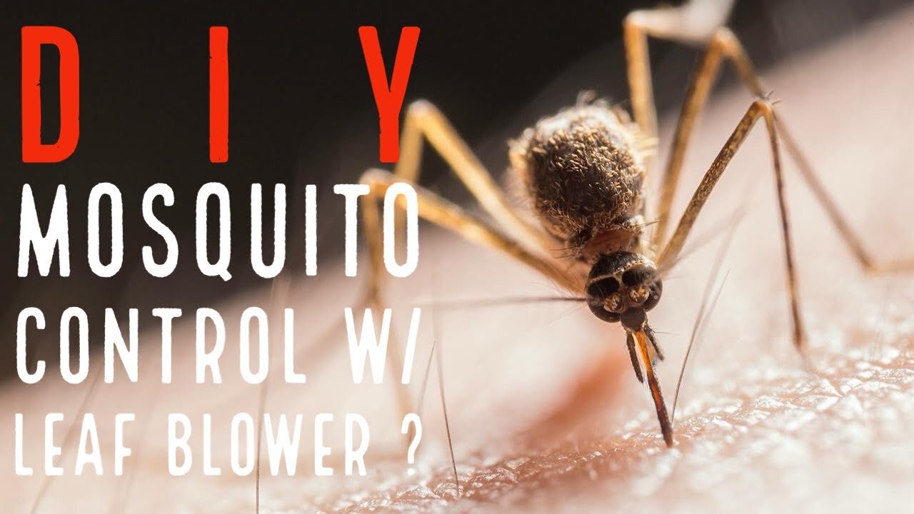 DIY Mosquito Control w/Leaf Blower