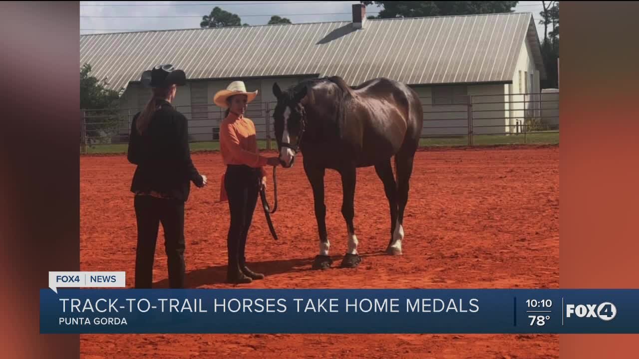 Local rescue for ex-racehorses celebrates Derby Day