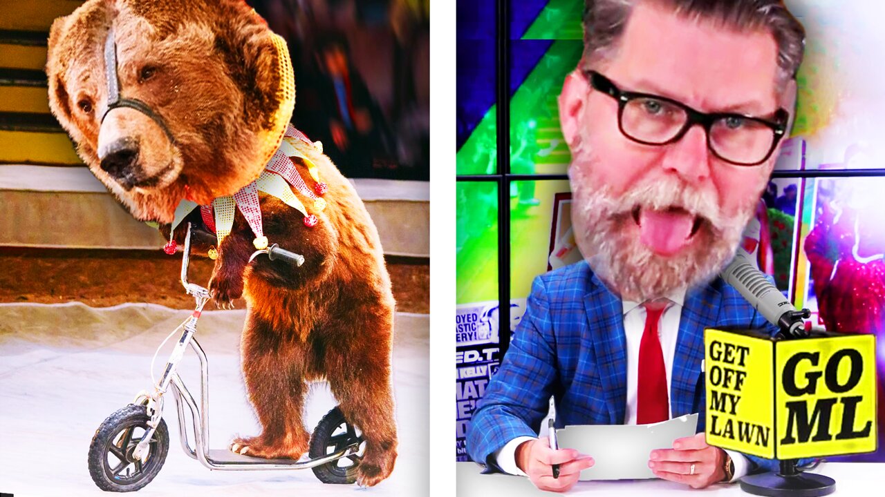 Gavin McInnes REACTS to Bears LOSING Their Bear Cards