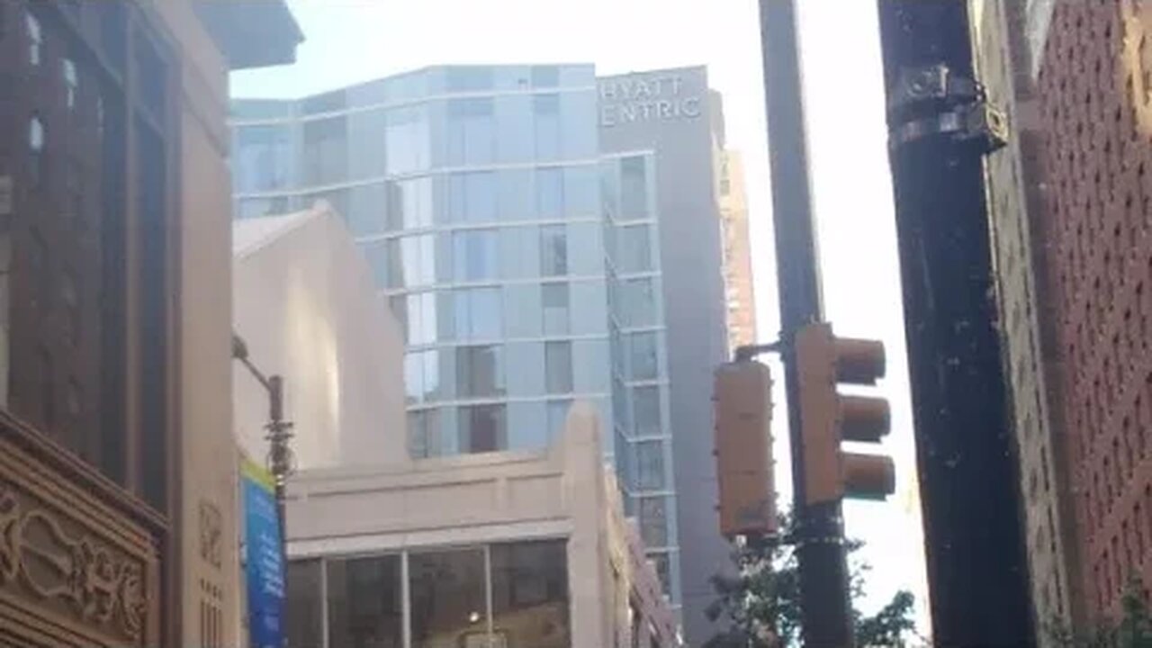 Short Video While Heading To Dog Walk 🐩