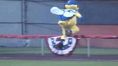 Mascot suffers an injury at a baseball game