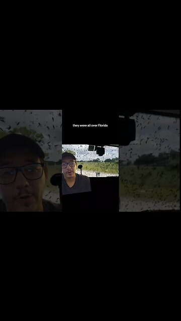 The Bug made in a lab!