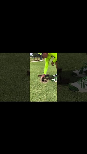 Lawn Dead Spot Plugging