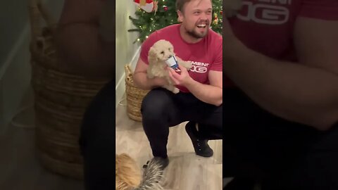 Hungry Little Puppy 🐶 #dog #dogs #doglover