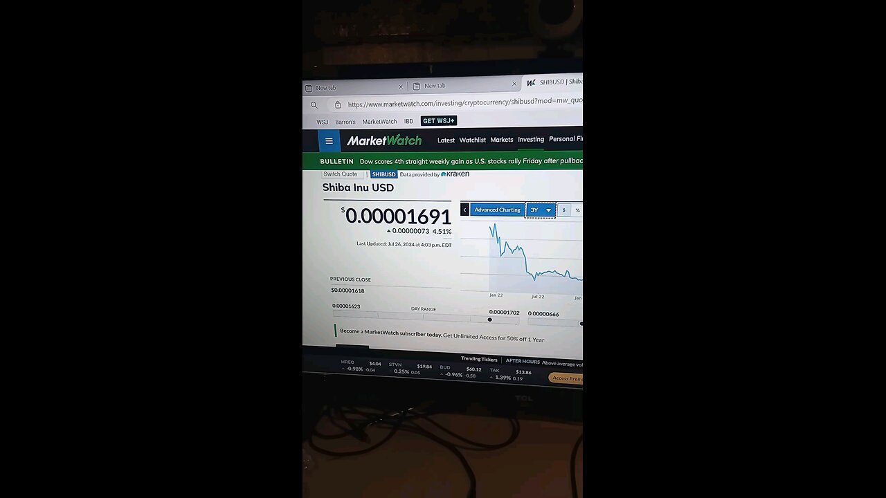 Shibainu coin Bitcoin about to skyrocket