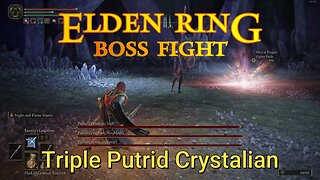 Elden Ring : Boss Fight - Triple Putrid Crystalians