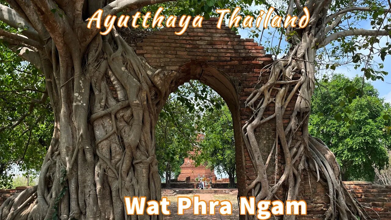 Wat Phra Ngam Temple วัดพระงาม Ayutthaya Thailand