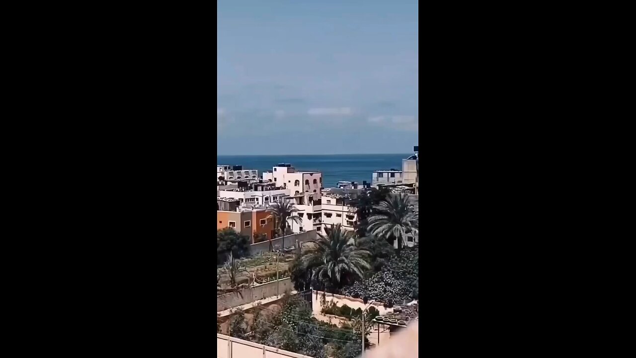 #Freepalestine