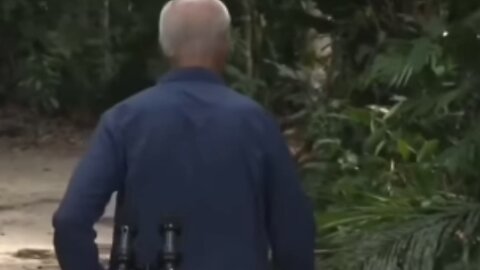 Joe Biden Disappears Into Amazon Rainforest