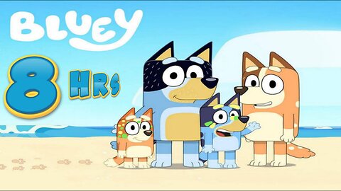 Bluey 8Hrs