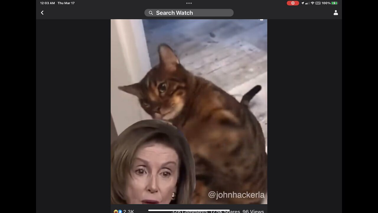 This is a riot, Pelosi gets smack down,lol