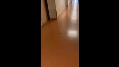 Krankenhaus Pirna. Laut MoPo ist es brechend voll mit Conoakranken. Doch die Welt sollte es sehen...