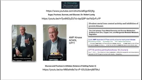 Why is Fructose Bad? Or is it? Dr. Lewis vs Dr. Lustig
