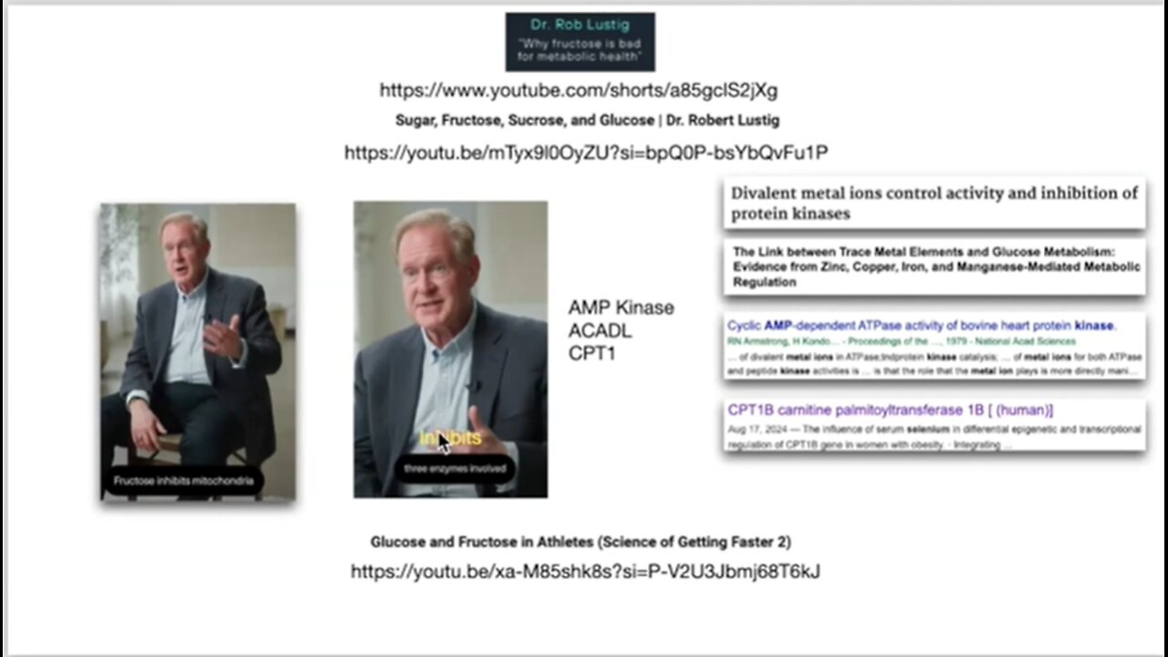 Why is Fructose Bad? Or is it? Dr. Lewis vs Dr. Lustig