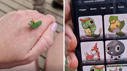 This stunning swallowtail caterpillar looks like real-life Pokémon #Sports