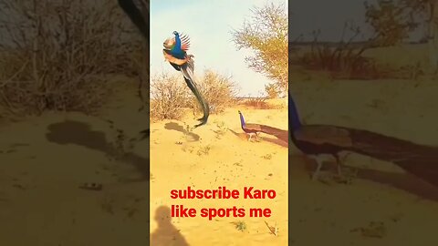 dekho mor(peacock) ko %ganpati wala videohello hello video krishna songambulan baby bandar wala