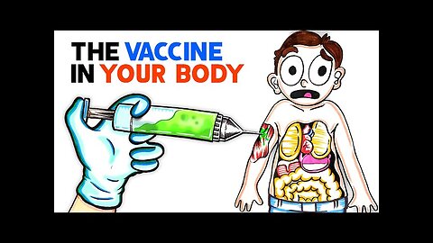 What The COVID Vaccine Does To Your Body