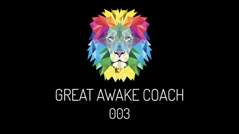 Great Awake Coach 003: REAL FAKE