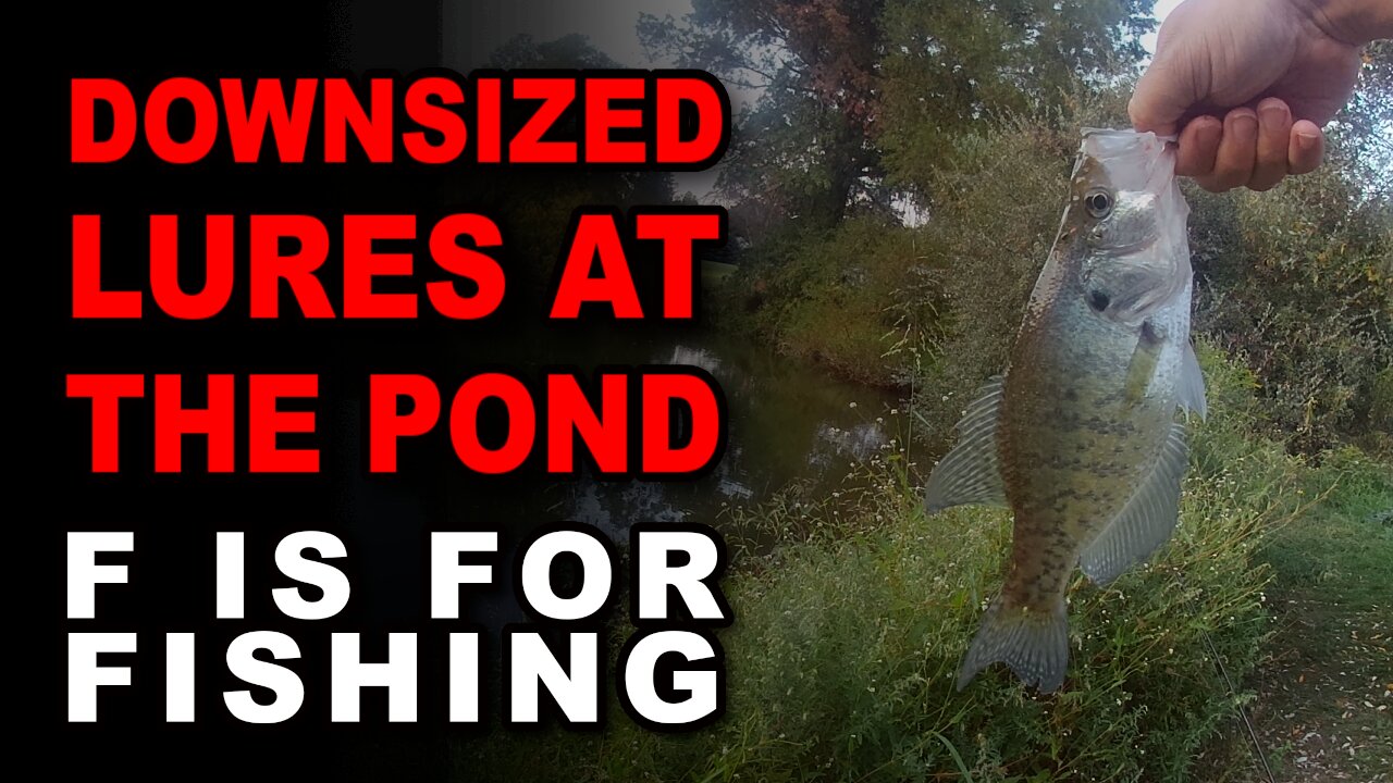 Downsized Lures at the Pond