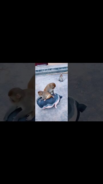 Most Amazing and trending video||relaxing your mind||trendig videos|| #shorts #trending #viral #live