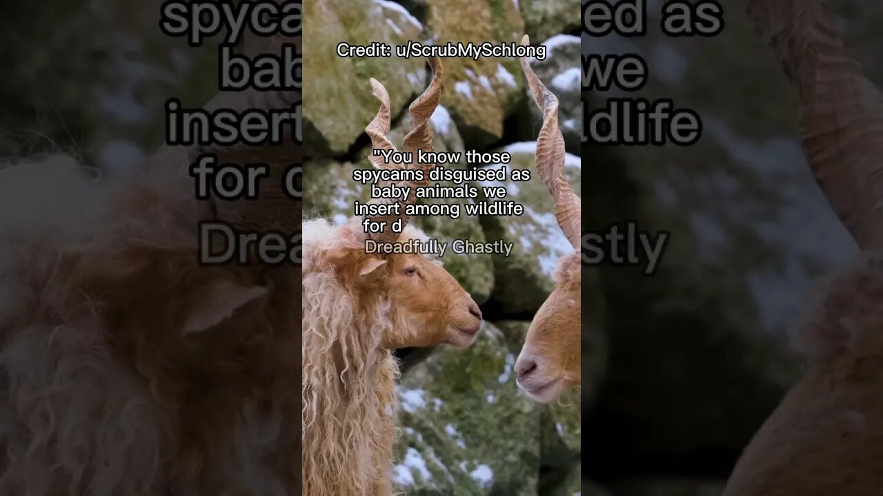 The Surveillance of Nature: A Two Sentence Horror Story That Will Shock You!