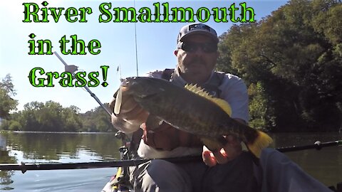 Smallmouth in the River Grass!