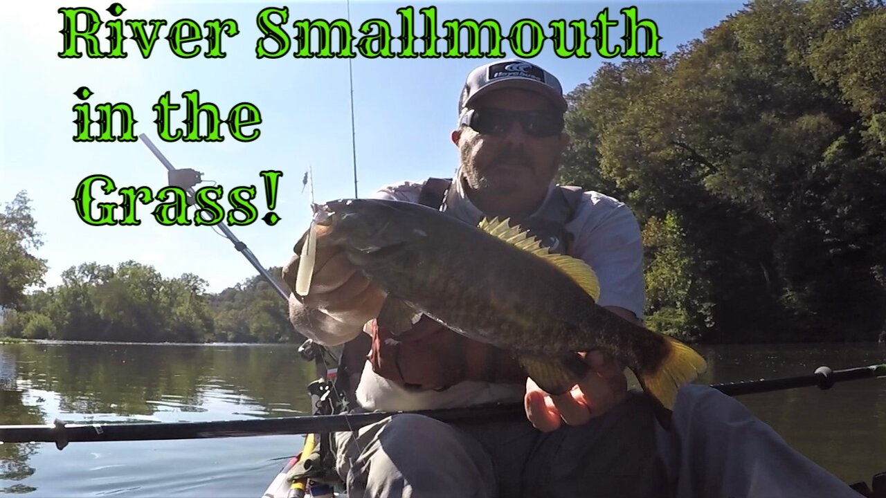 Smallmouth in the River Grass!