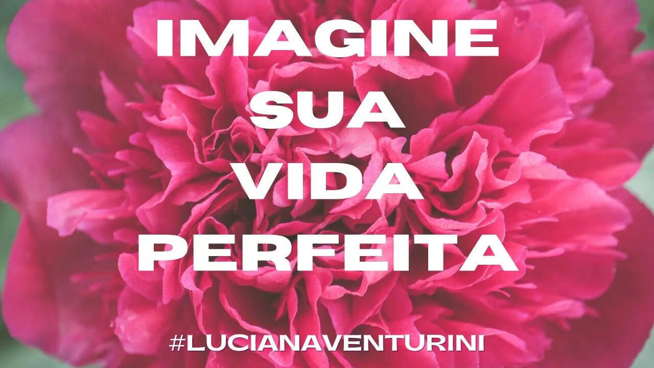 Imagine sua vida perfeita #lucianaventurini #desenvolvimentopessoal #vivermelhor #enriquecimento