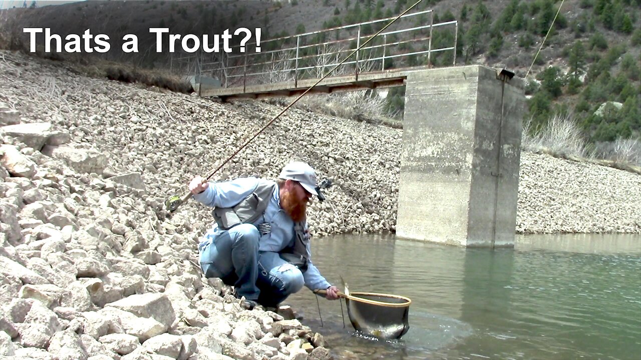 This brown trout was absolutely massive! Out of this tiny little pond.