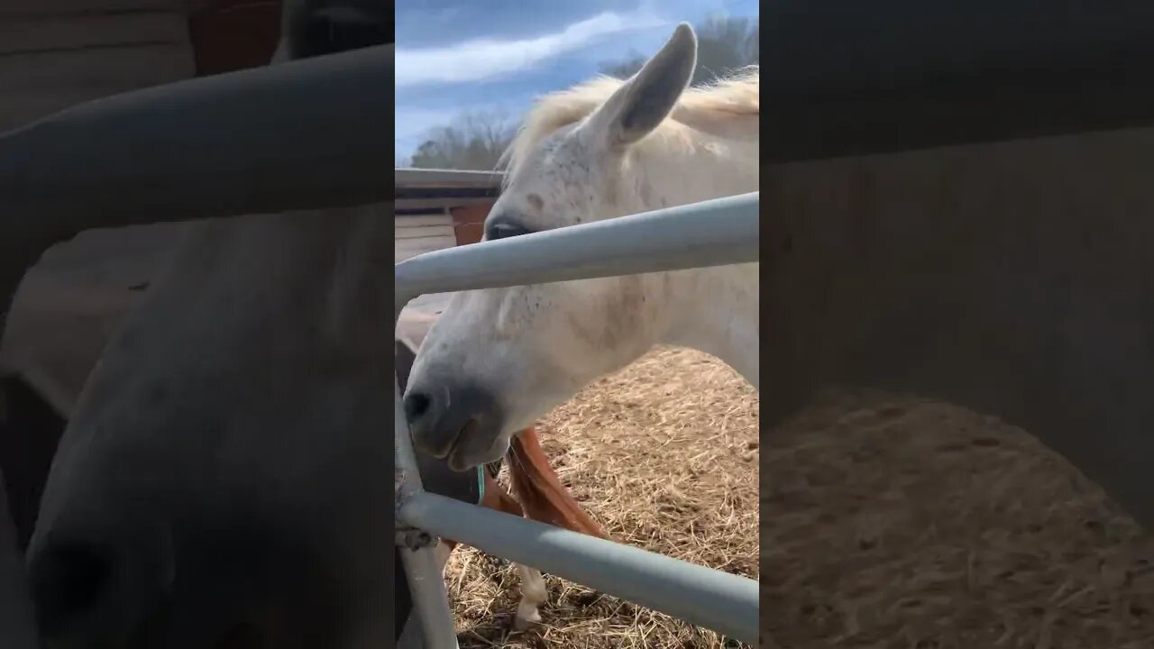 Working it out