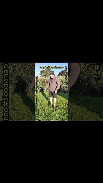 maurieo #shorts R U SUMMER READY