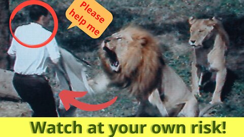 MAN ATTACKED BY ZOO LION