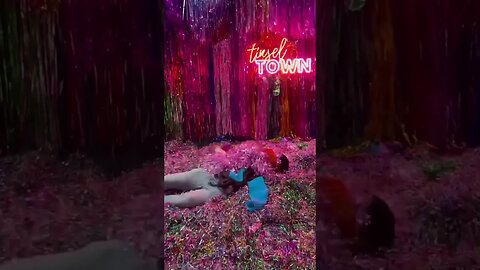 The Tinsel Broke My Fall