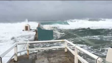 Forti onde invadono una piscina in Australia