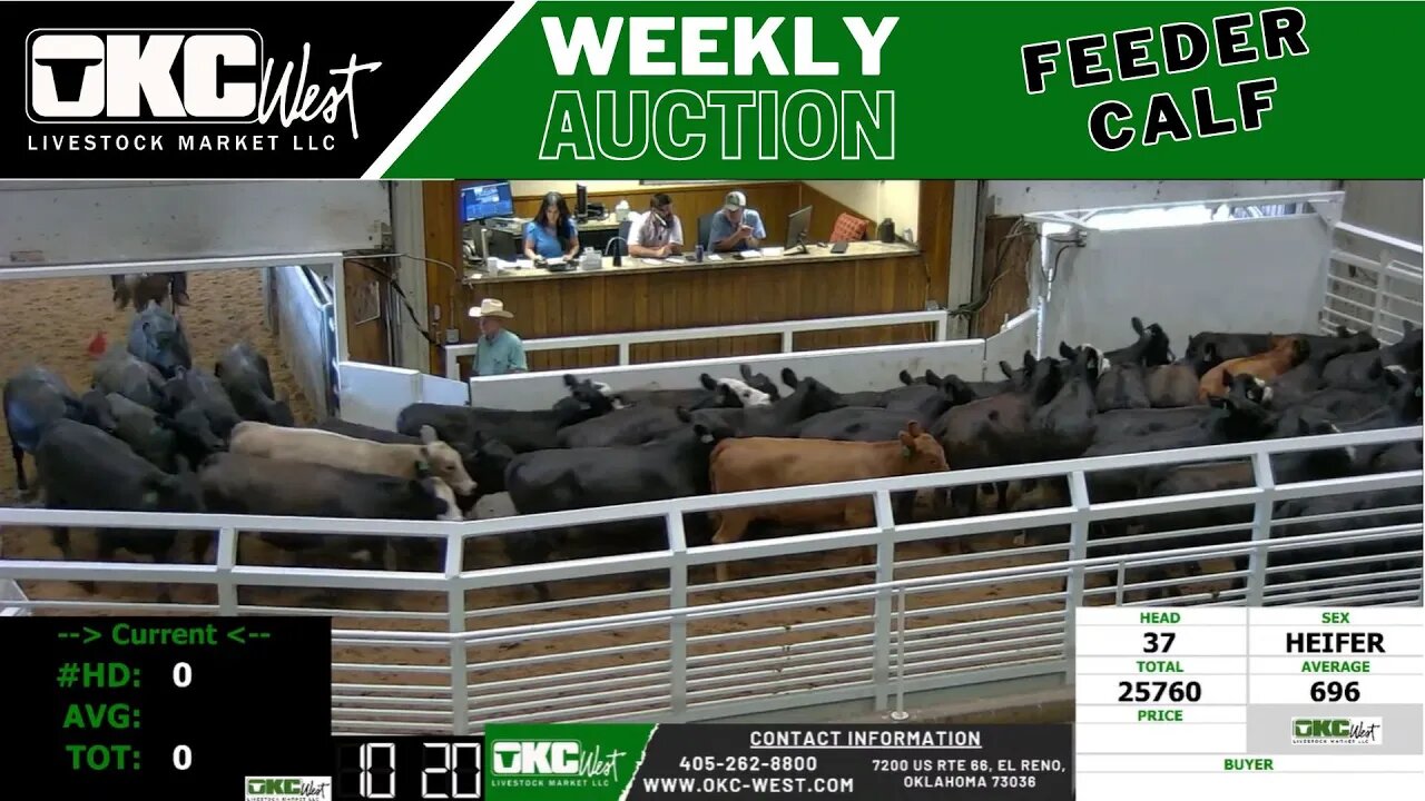 6/28/2023 - OKC West Feeder Calf Auction