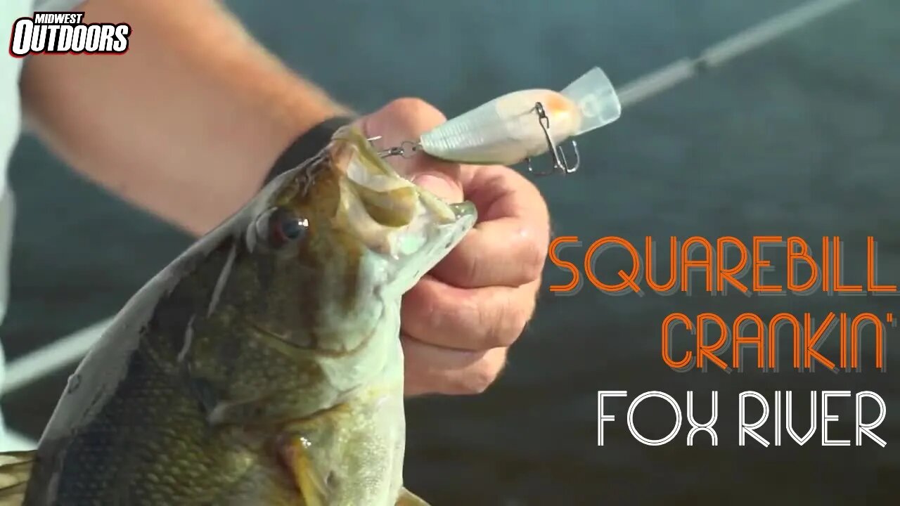 Squarebill Bass Fishing on Fox River