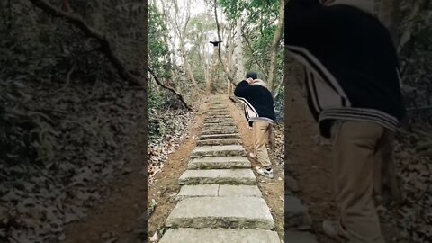 amazing video 😍😍😍 | amazing views video 😳😳 | natural amazing video ❤ whatsapp comedy #shorts