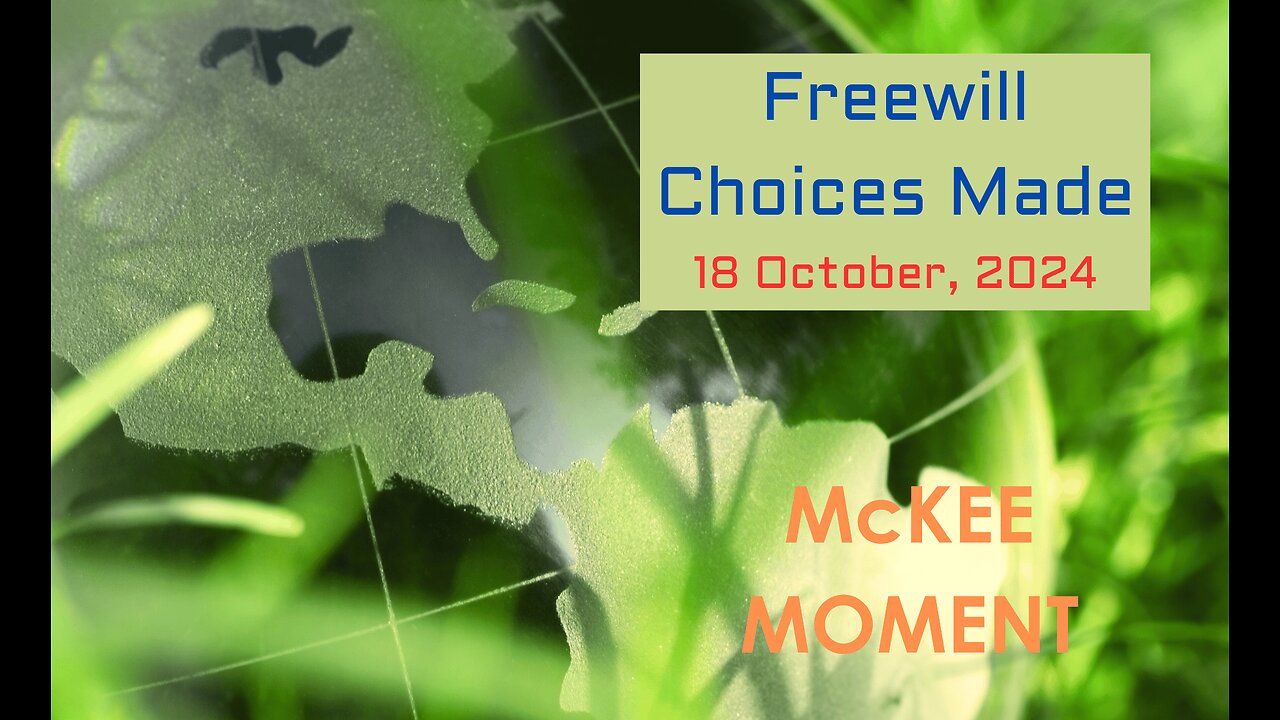 Freewill Choices Made - McKee Moment